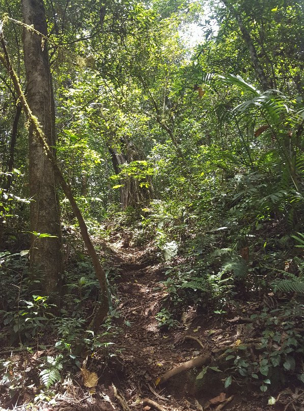 Wanagiri Bali Adventure景点图片