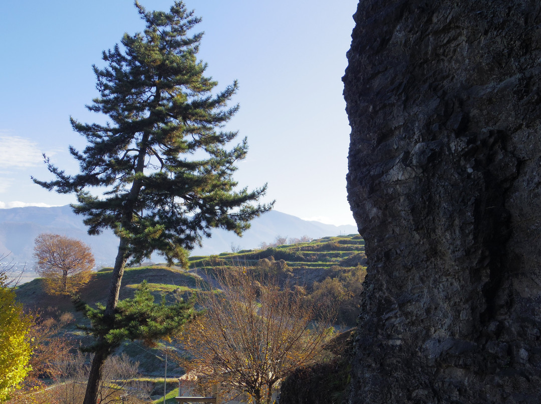 Tyorakuji Temple景点图片