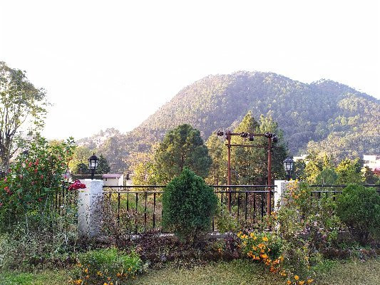 Hotel Apple Inn主图