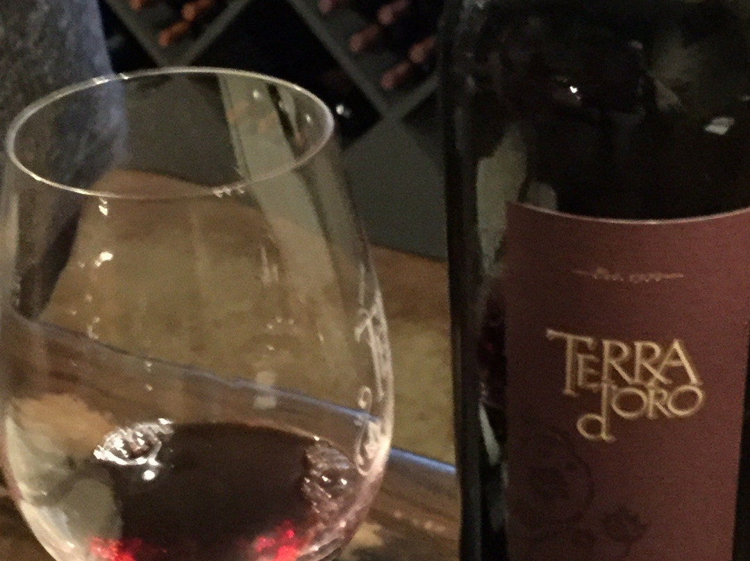 Terra d'Oro Winery景点图片