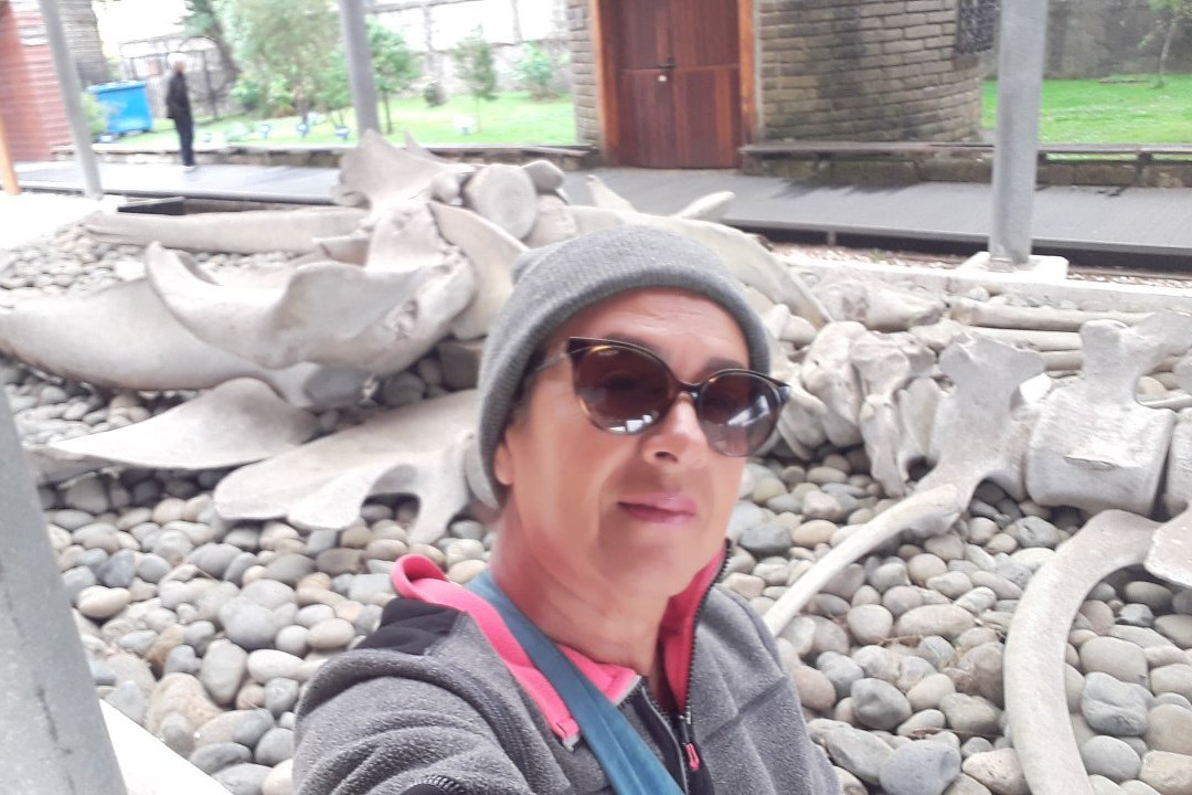 Museo Regional de Ancud-Ancud必去景点