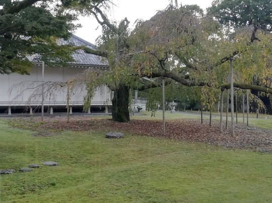 Daigo-ji Temple Reihokan-京都市必去景点