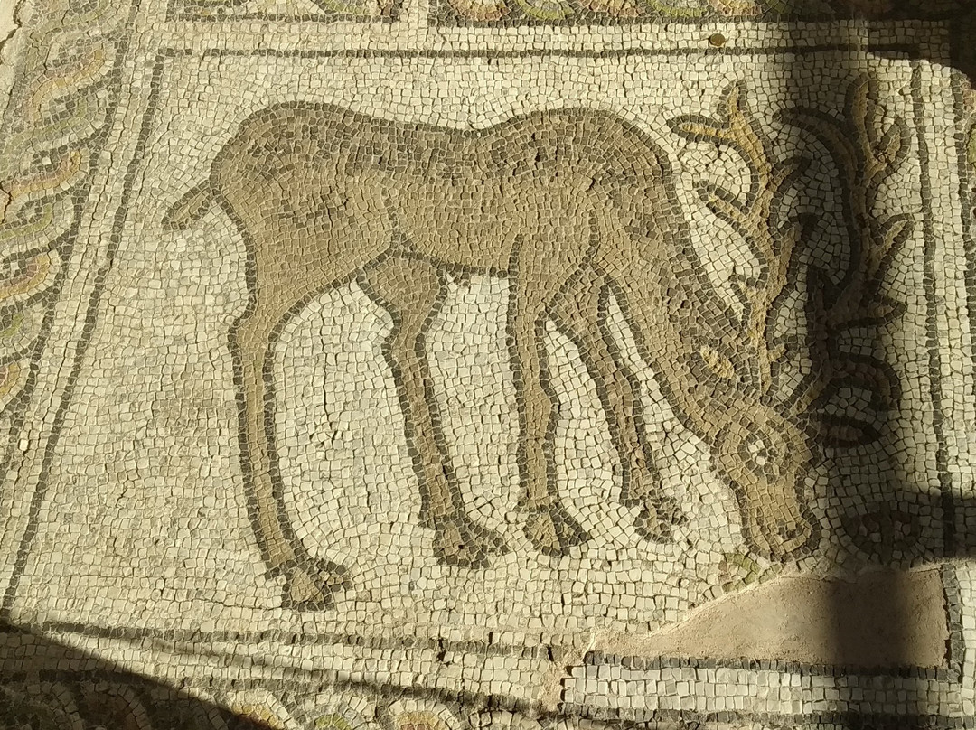 Small Basilica Of Philippopolis景点图片