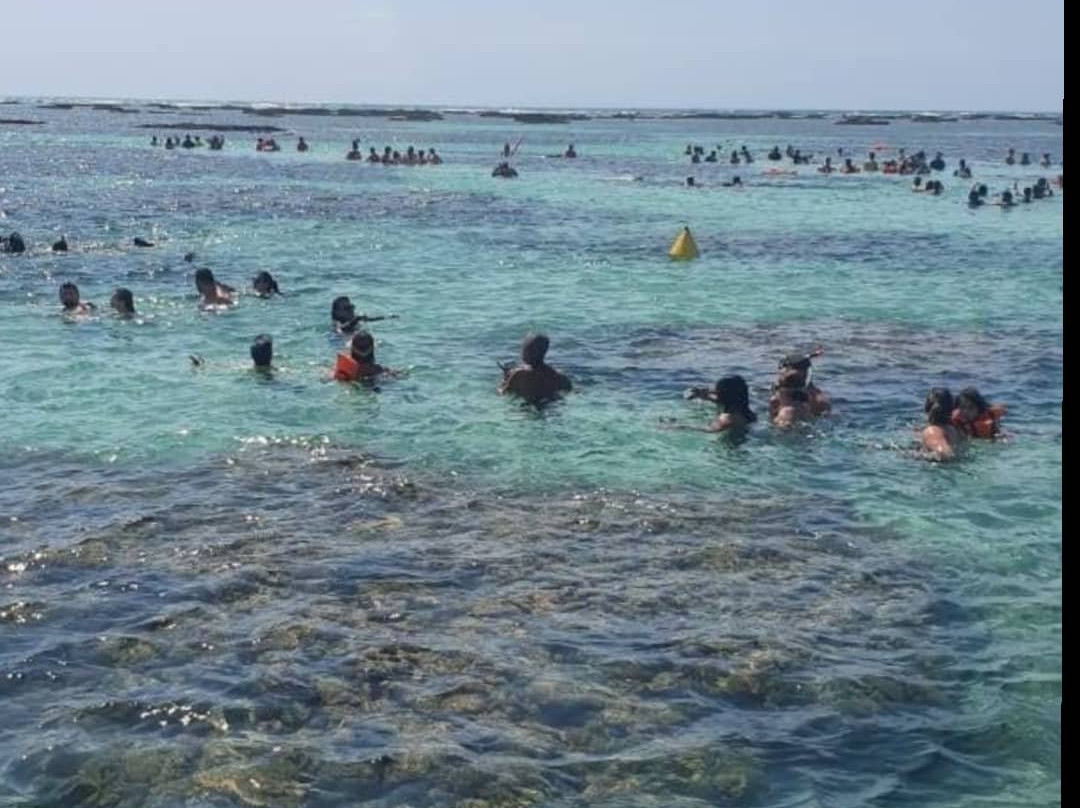 Taocas-Maragogi必去景点