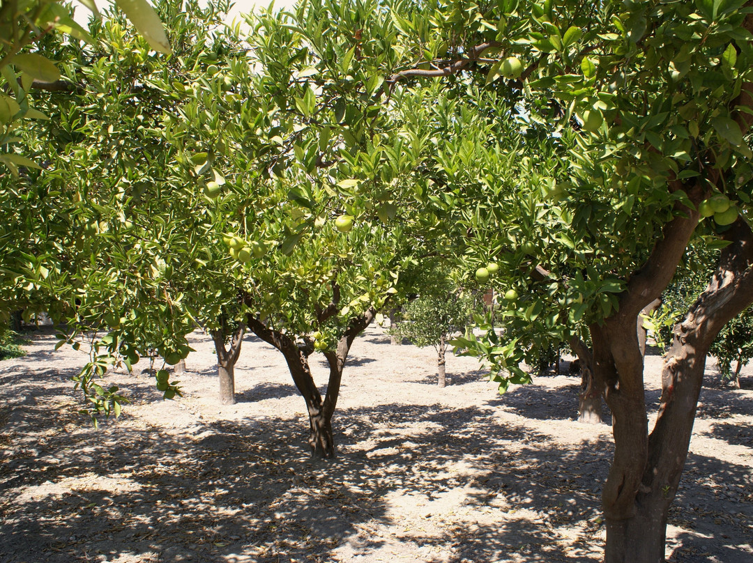 Finca La Cañota主图