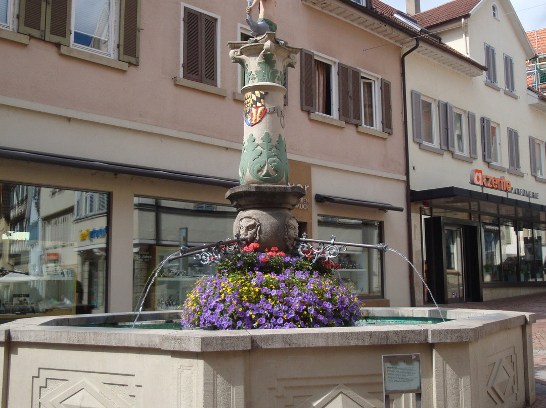 Der Frauleinsbrunnen景点图片