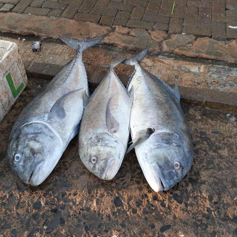 Batulicin旅游攻略图片