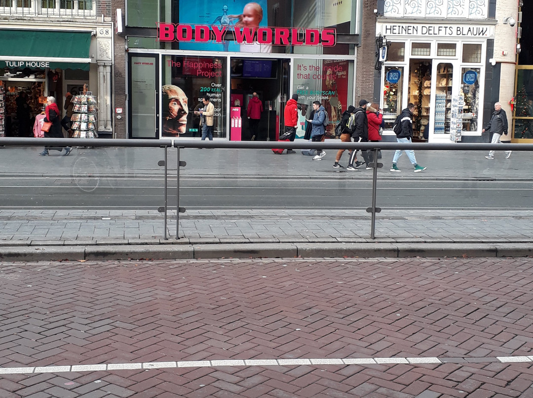达姆拉克街-阿姆斯特丹必去景点