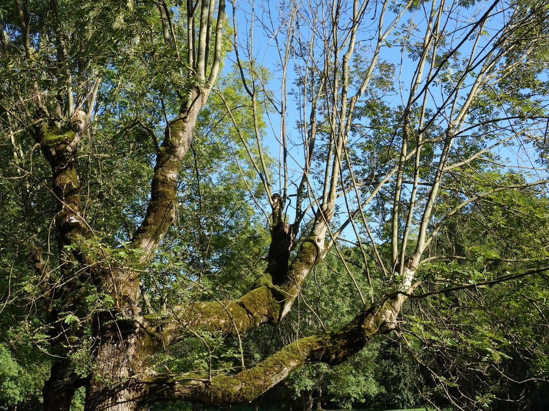 Kurpark Bad Gleichenberg-泉格莱兴山必去景点