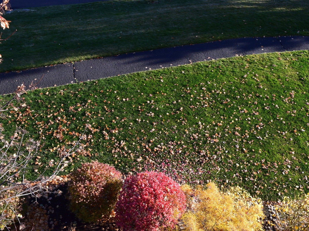 润林牧场度假山林小屋主图