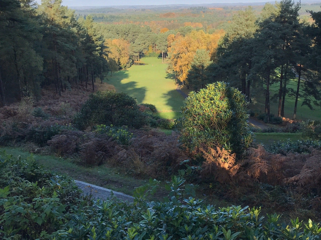 Old Thorns Golf Course景点图片