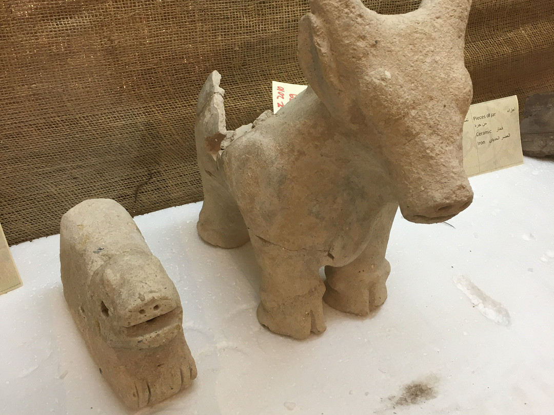 Madaba Archaeological Museum景点图片