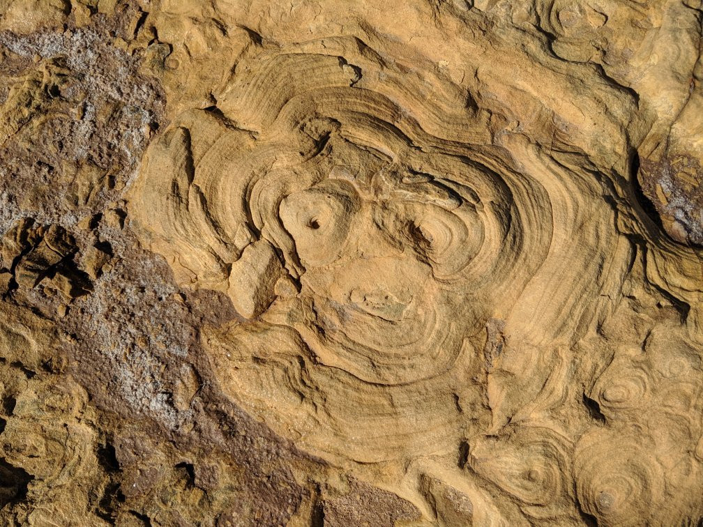 Lake Torrens National Park-Andamooka必去景点