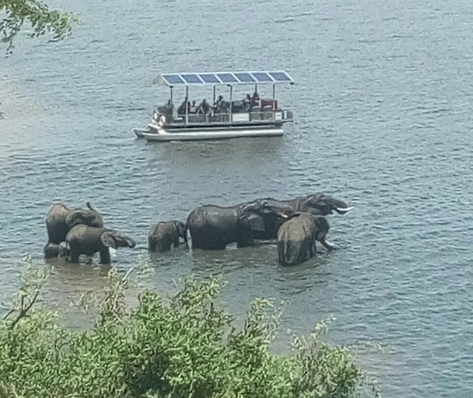 Arnolubi Safaris & Tours-李文斯顿必去景点