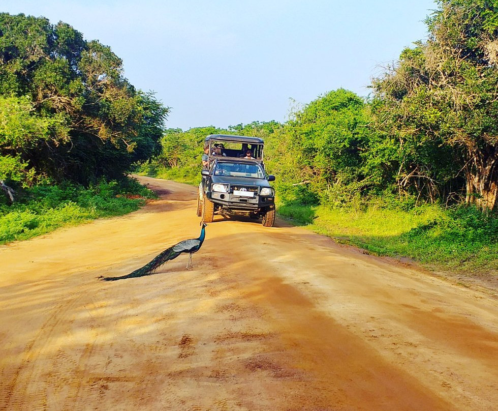 EW Lanka Tours-康提必去景点