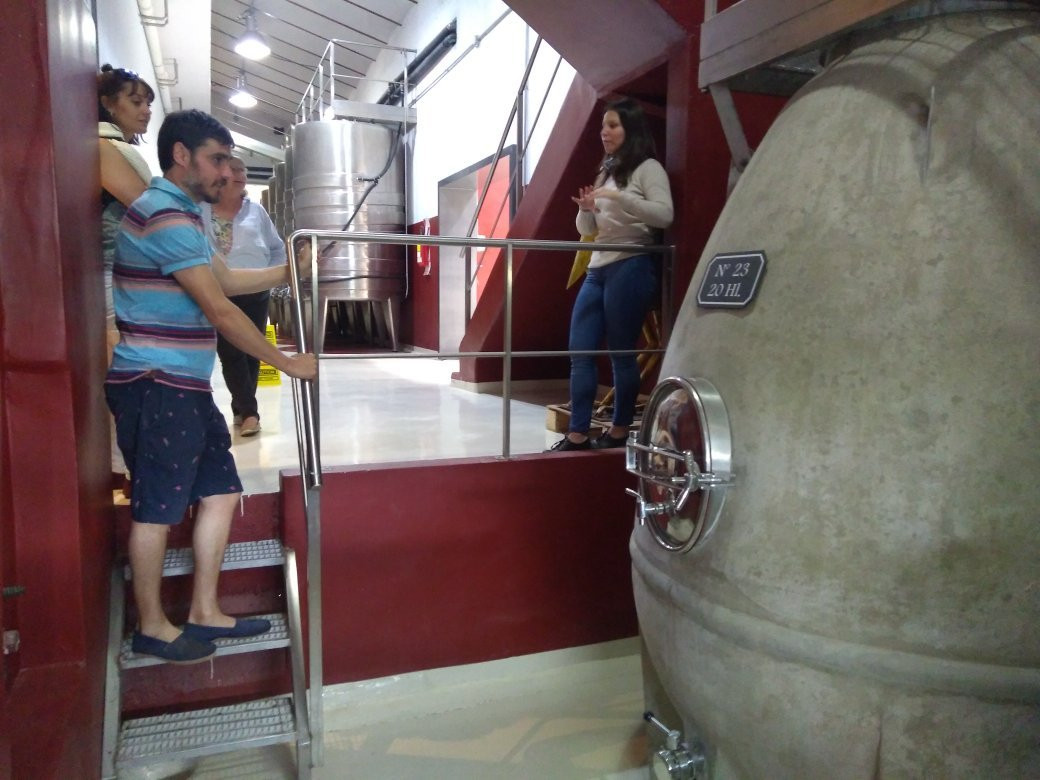Bodega Terra Camiare景点图片