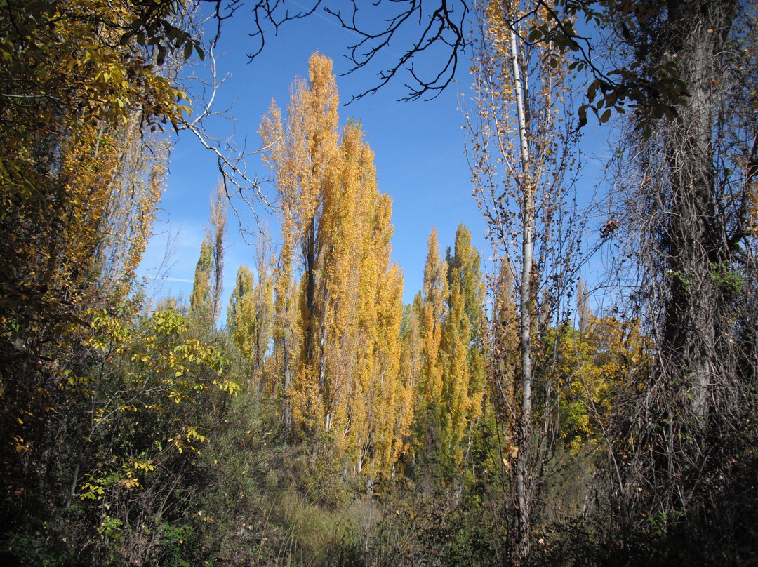 Ruta de los Nogales Centenarios-Nerpio必去景点