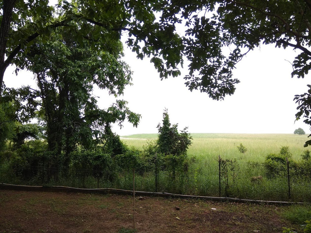 Debrigarh Wildlife Sanctuary景点图片