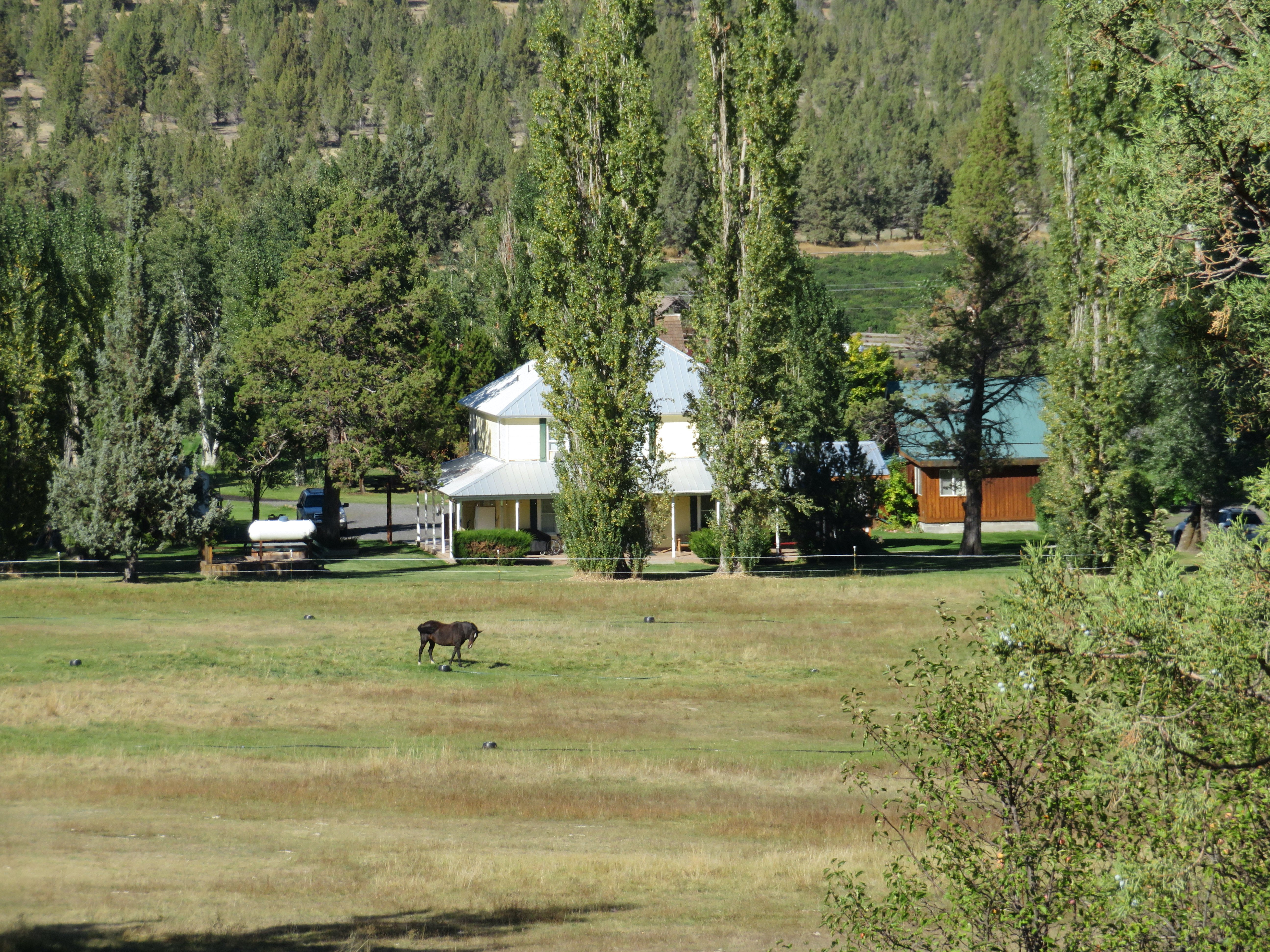 Long Hollow Ranch-浴室