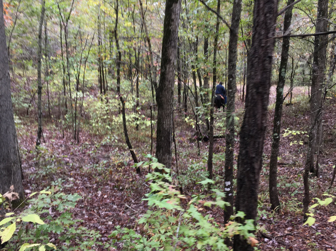 Bar Fifty Guest Ranch主图