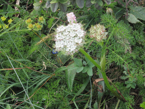 太白县旅游攻略图片