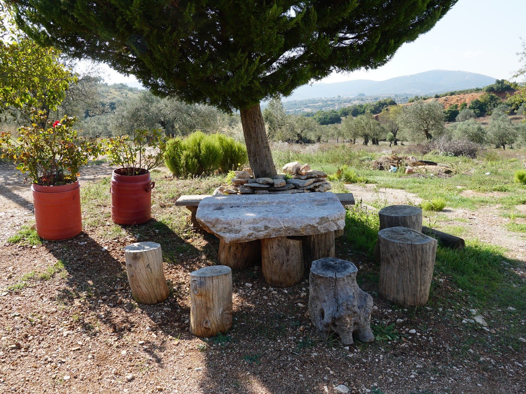 Epidaurus Becas Mills-埃皮达鲁斯必去景点