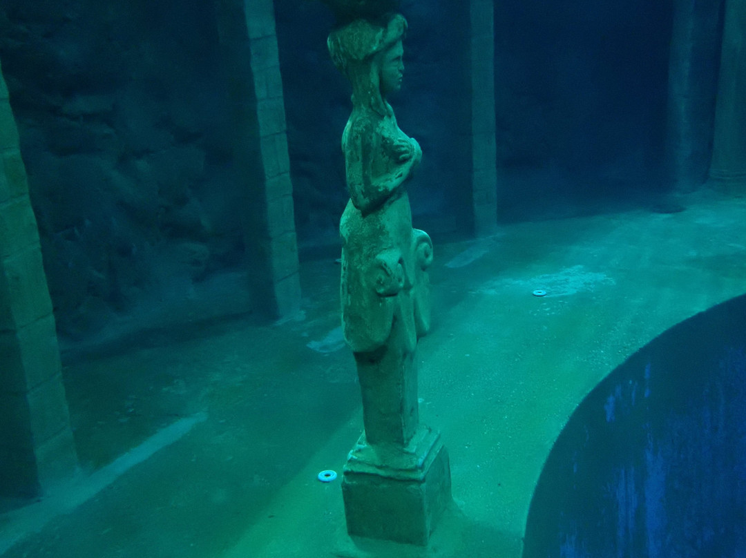 Dive4Life景点图片