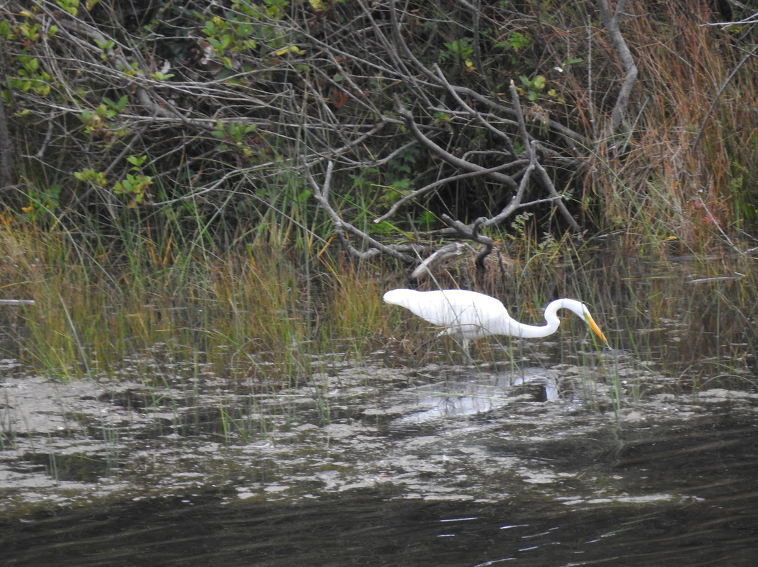Beach House Inn主图