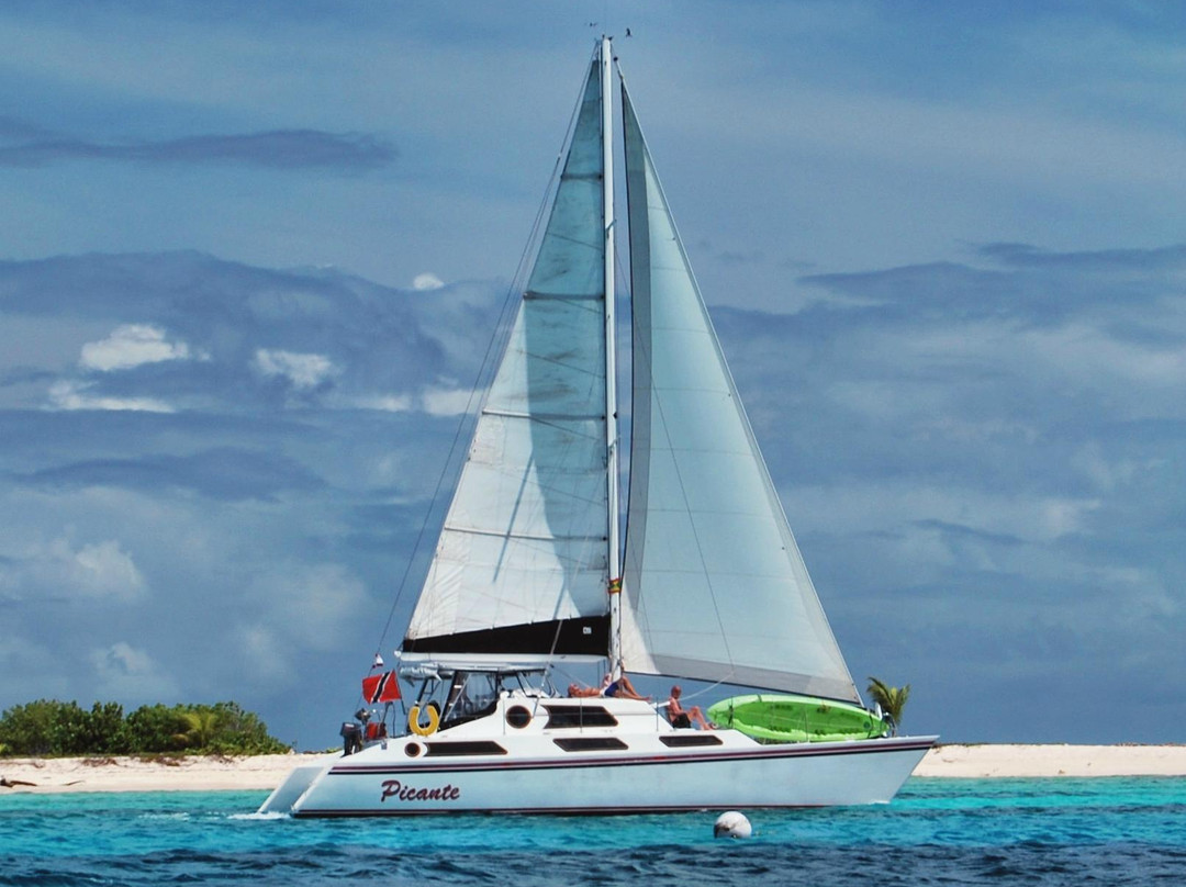 Sailing Catamaran Picante Private Day Tours-克朗波因特必去景点