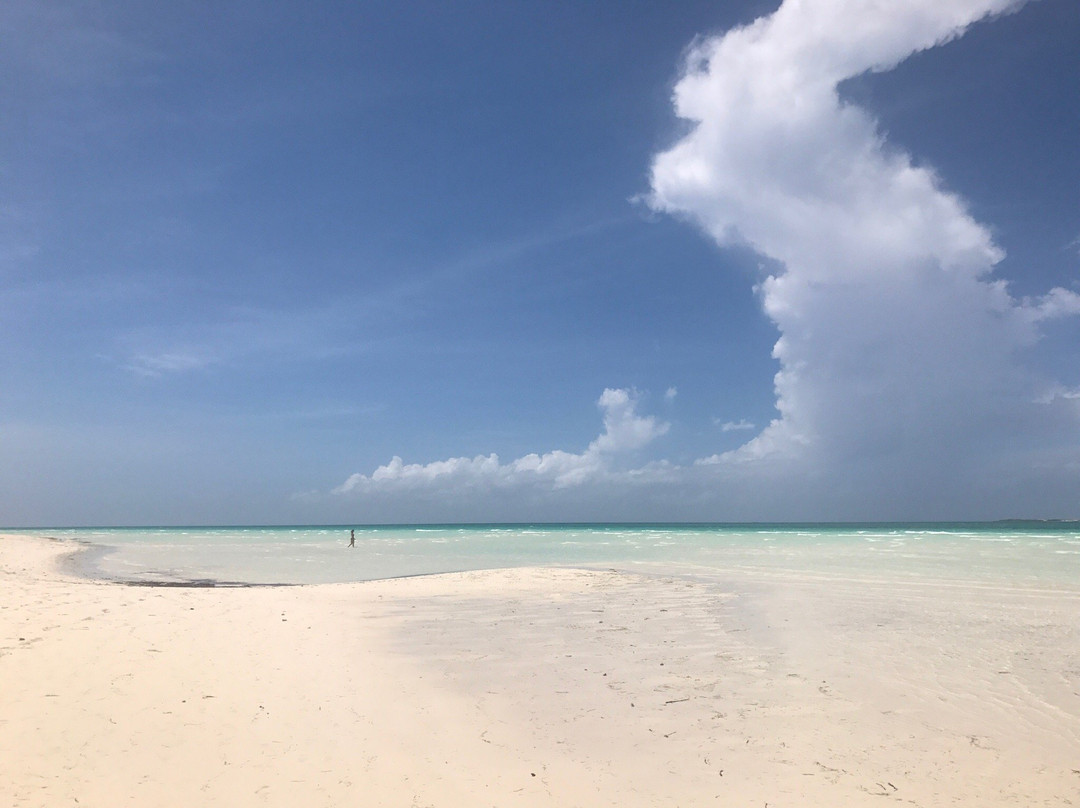 Playa de las Gaviotas景点图片