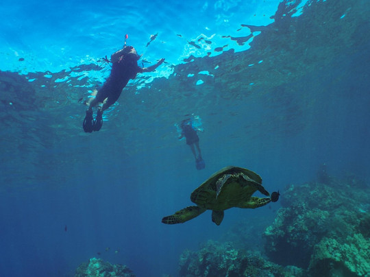 Tropical Guides & Outfitters-毛伊岛必去景点