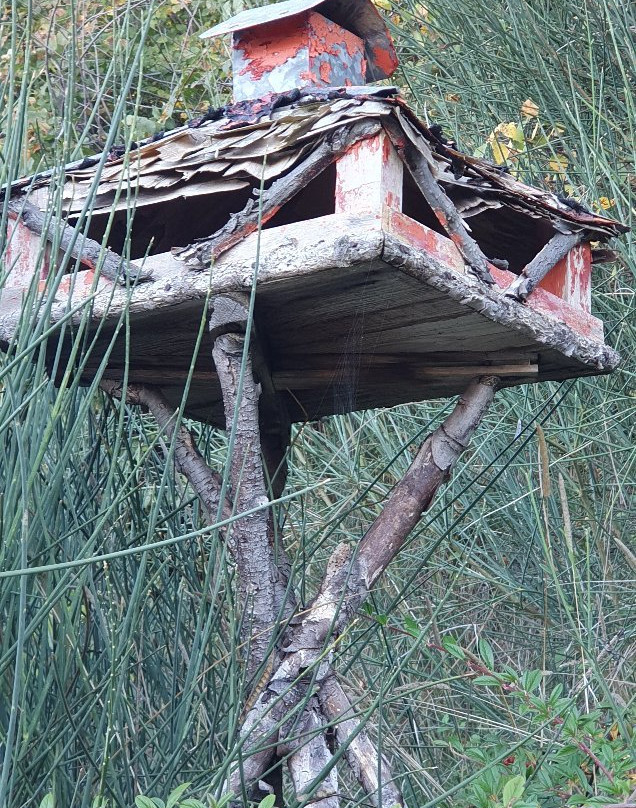 B&B Giuggiolando主图