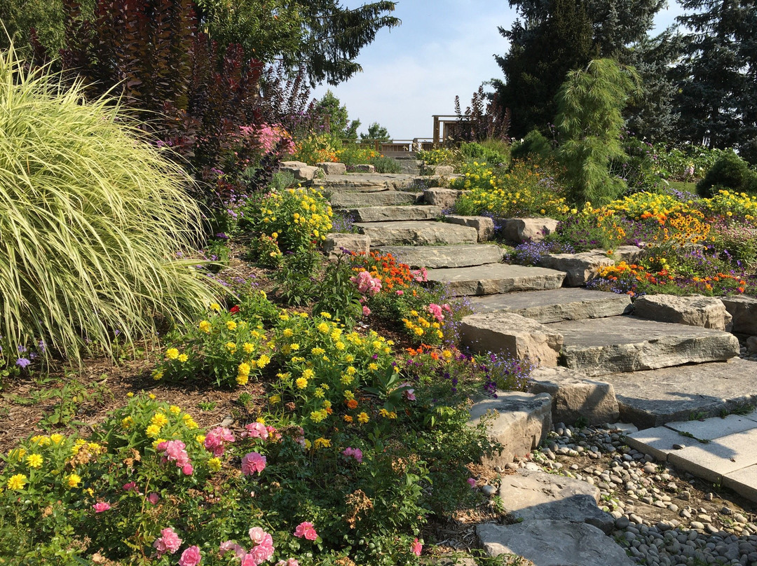 多伦多汉伯植物园-多伦多必去景点