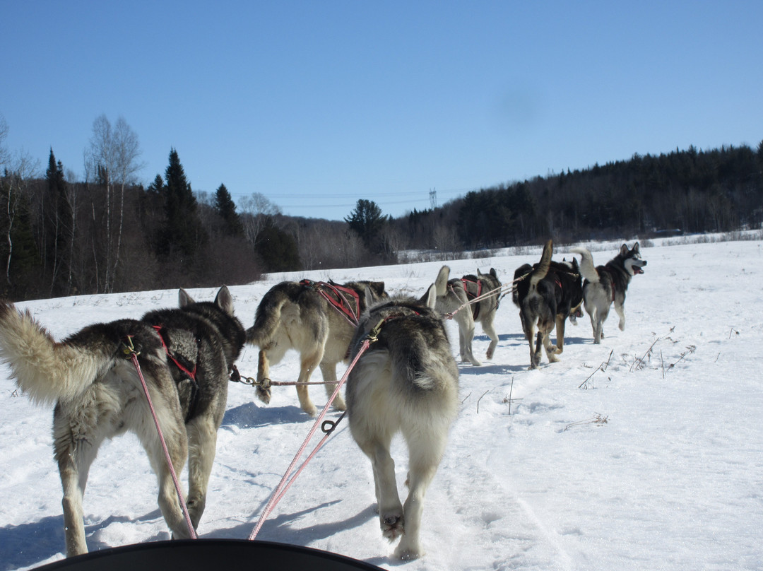 Sainte-Marcelline-de-Kildare旅游景点-Kinadapt