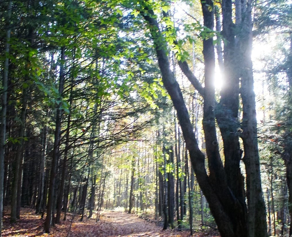 Parc du Bois-Beckett