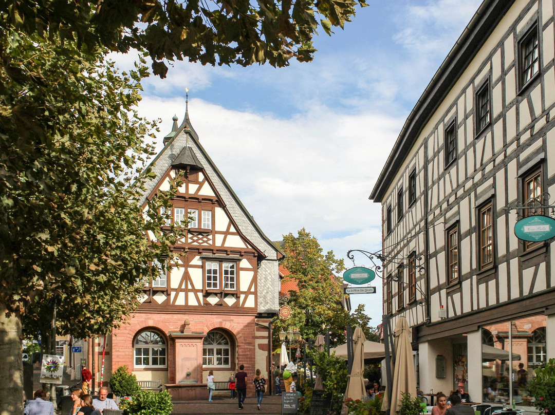 Altes Rathaus mit Brunnen景点图片
