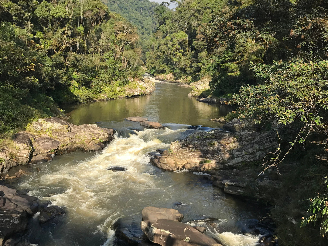 Ranomafana National Park景点图片