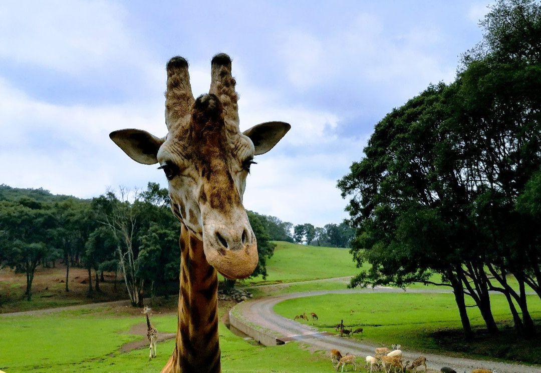 Bioparque Estrella Mexico景点图片