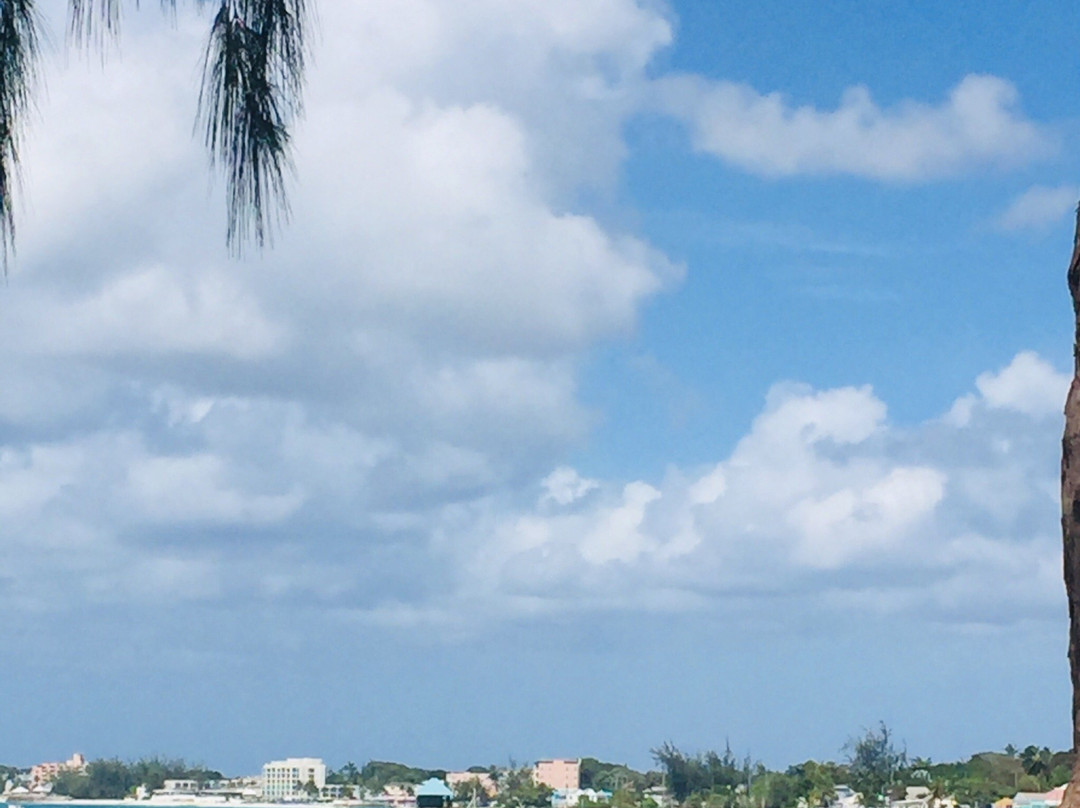 Miami Beach Barbados景点图片