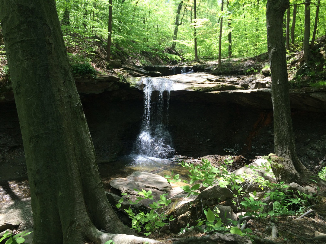 Blue Hen Falls