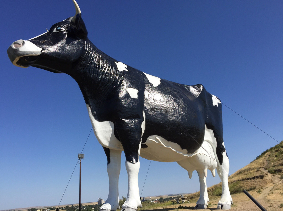 Salem Sue - World's Largest Fiberglass Cow景点图片