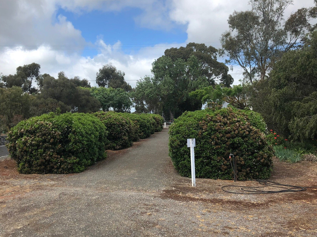 Bethany Pioneer Cemetery景点图片