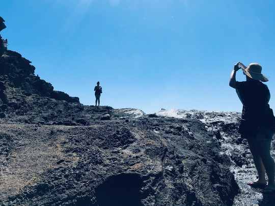 The Pineapple EXP-瓦胡岛必去景点