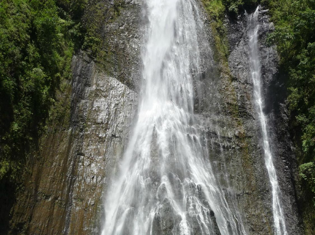 Manawaiopuna Falls (Jurassic Park Falls)景点图片