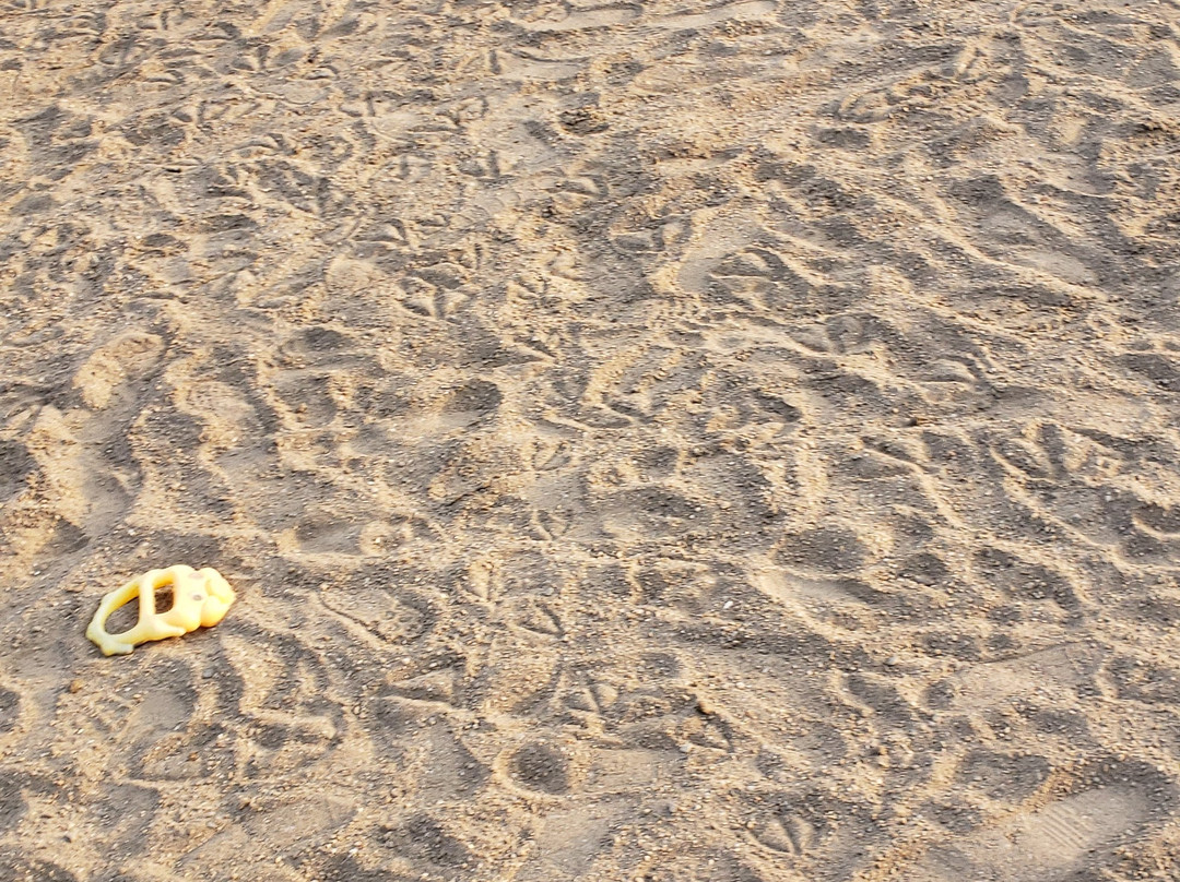 Hop Brook Lake-Middlebury必去景点