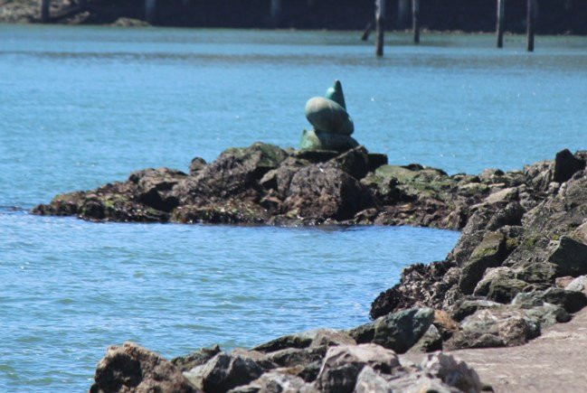 Sea lion sculpture景点图片