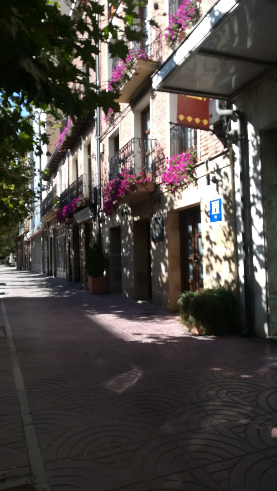 Hostal Rey Pedro I-官方