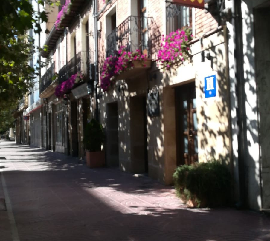 Hostal Rey Pedro I主图