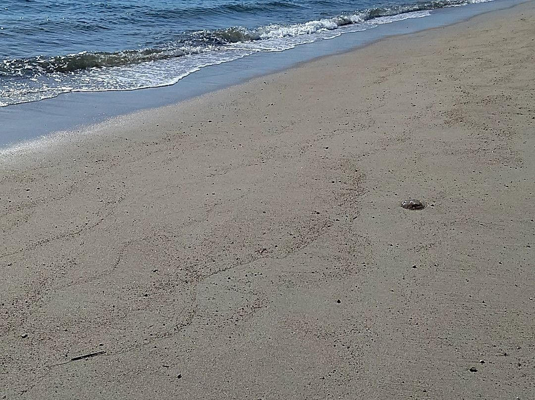 Nijigahama Beach-光市必去景点