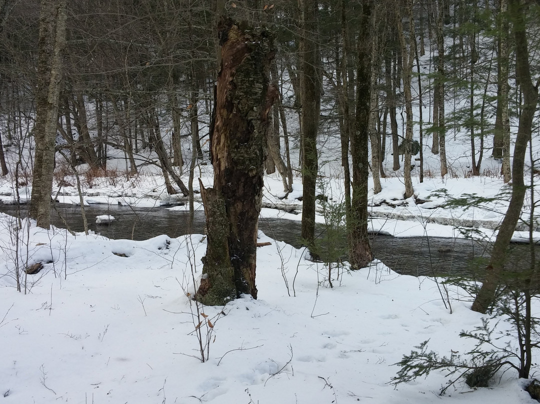 Gentle Giants Sleigh and Carriage Rides-斯托必去景点